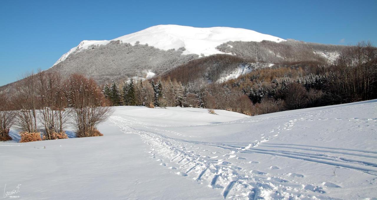 Antica Locanda Bonfiglio Busana Экстерьер фото